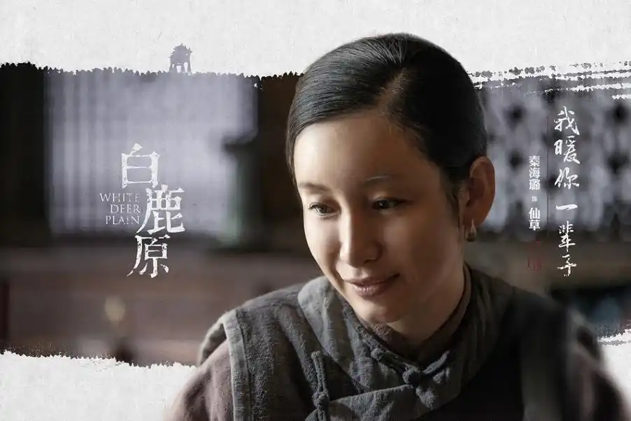 电视剧白鹿原海报图片