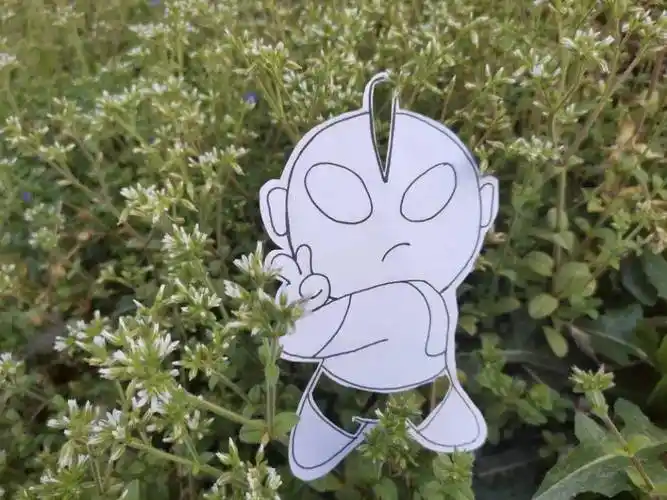 比耶的奥特曼比耶也要推开花朵独自美丽这个帅气的奥特曼有没有唤醒