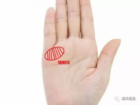 钱财纹呈现特殊形深受财神青睐顺风顺水