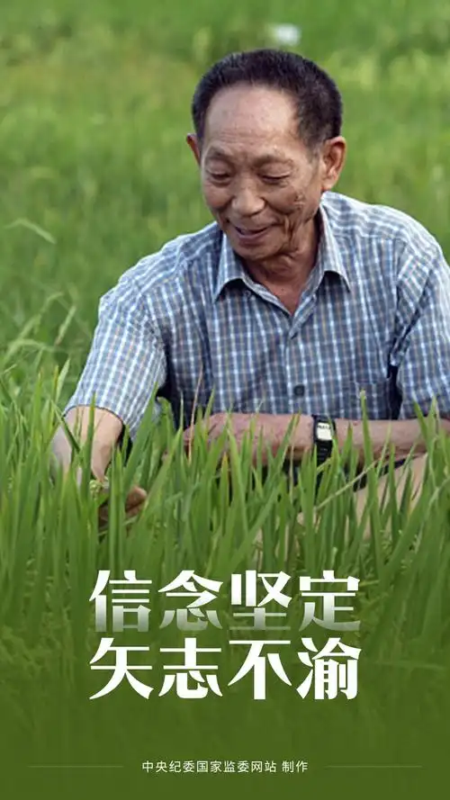 海报丨这就是对袁隆平最好的纪念