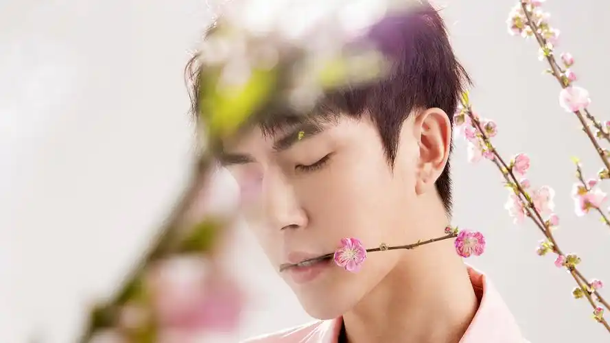 小鲜肉帅哥明星于朦胧高清桌面壁纸