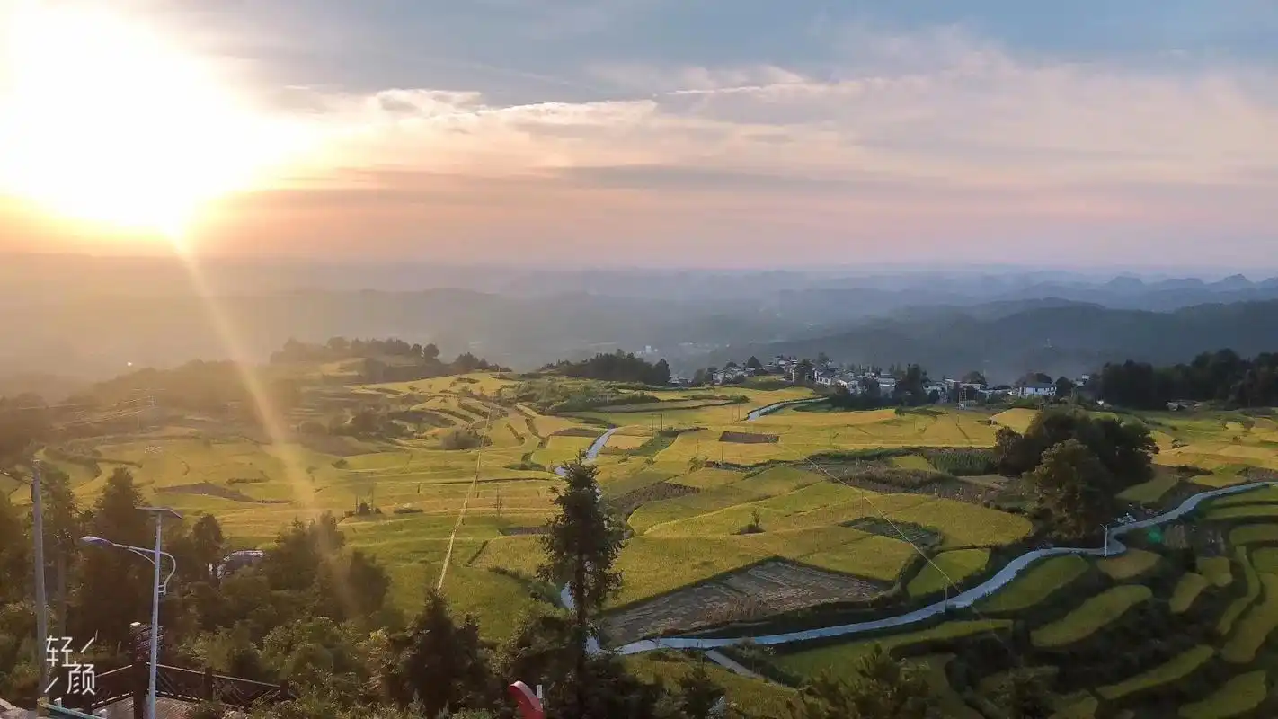 美好的一天从清晨开始 ,#金色麦田 #感受大自然的气息和美 - 抖音