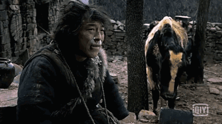 433_243gif 动态图 动图