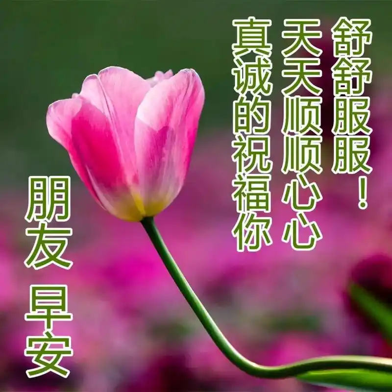 清晨暖心早上好问候语录和祝福短句 早上好图片祝福表情大全集