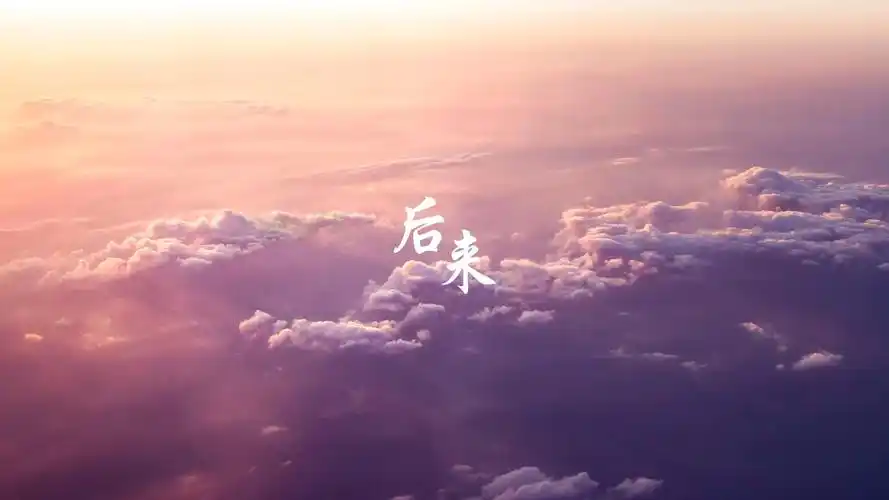 又是一年毕业季《后来》伤感唯美歌词图片