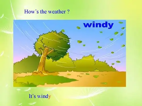 hows the weather   its windy