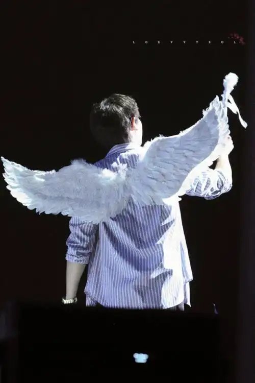 吴世勋##朴灿烈