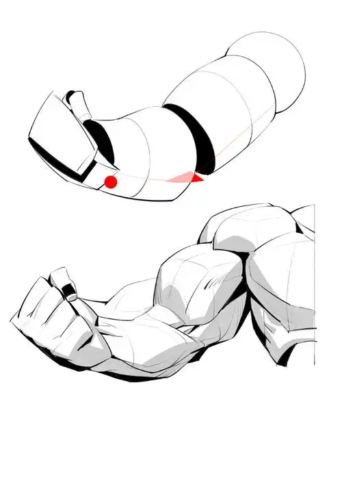 手臂肌肉结构怎么画?