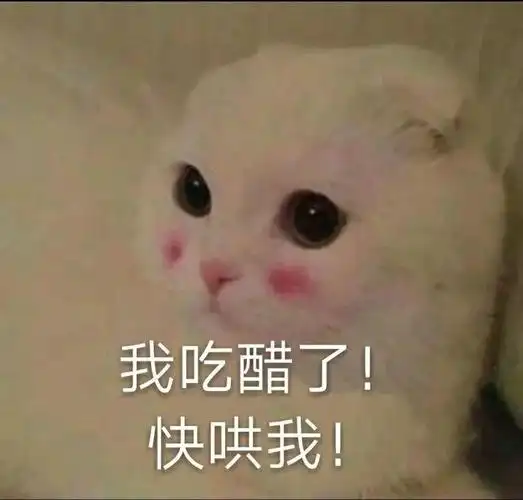 撩男朋友表情包50张又污又可爱情侣表情包