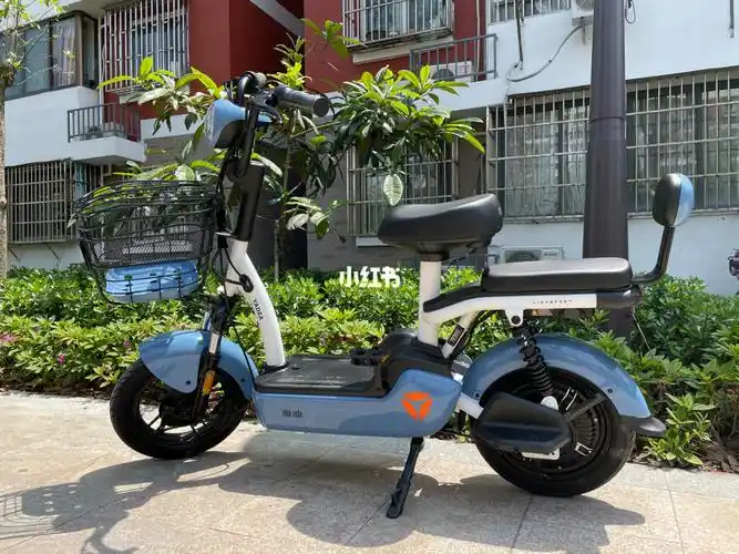 雅迪小金鼠颜值超高的小电瓶车
