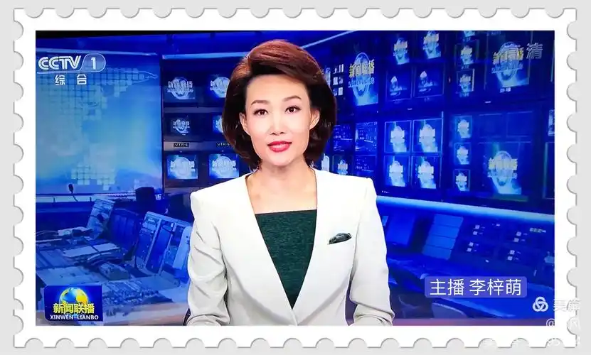cctv  《新闻联播》主播