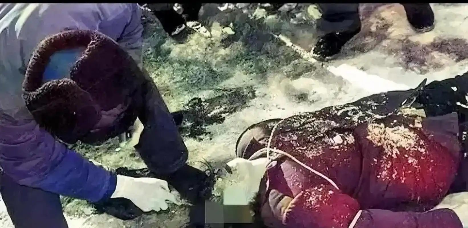 上世纪80年代,哈尔滨郊外刑场白雪皑皑,一名女死刑犯被枪毙后,法医拿