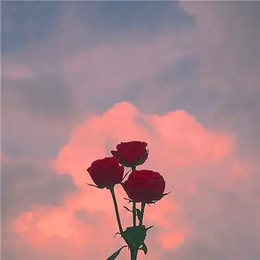 2023最火风景头像(精选24张)-非主流之家