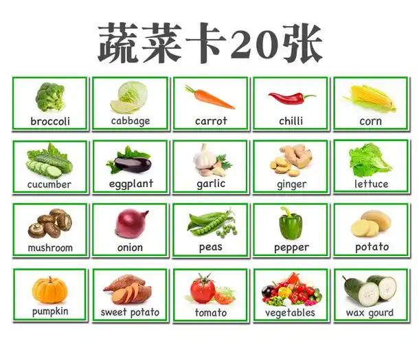 幼儿英语单词卡片 英语卡片防水启蒙闪卡蔬菜类20张幼儿园儿童单词卡
