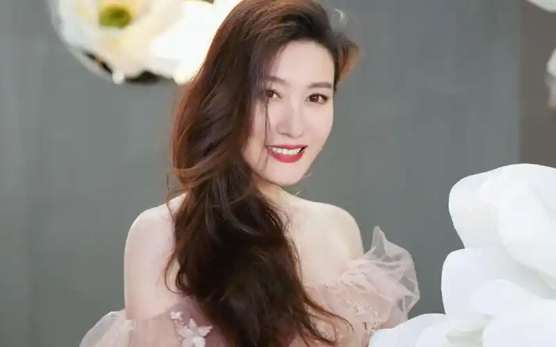 他们认为,当年谭晶与芒果台之间因退赛事件而产生的矛盾可能仍未化解