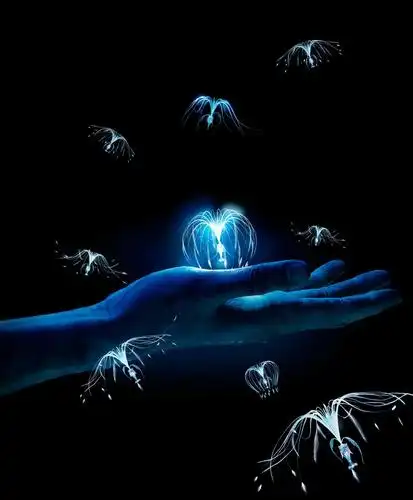 兀鹫,阿凡达,灵魂之树,4 k1920x1280分辨率查看