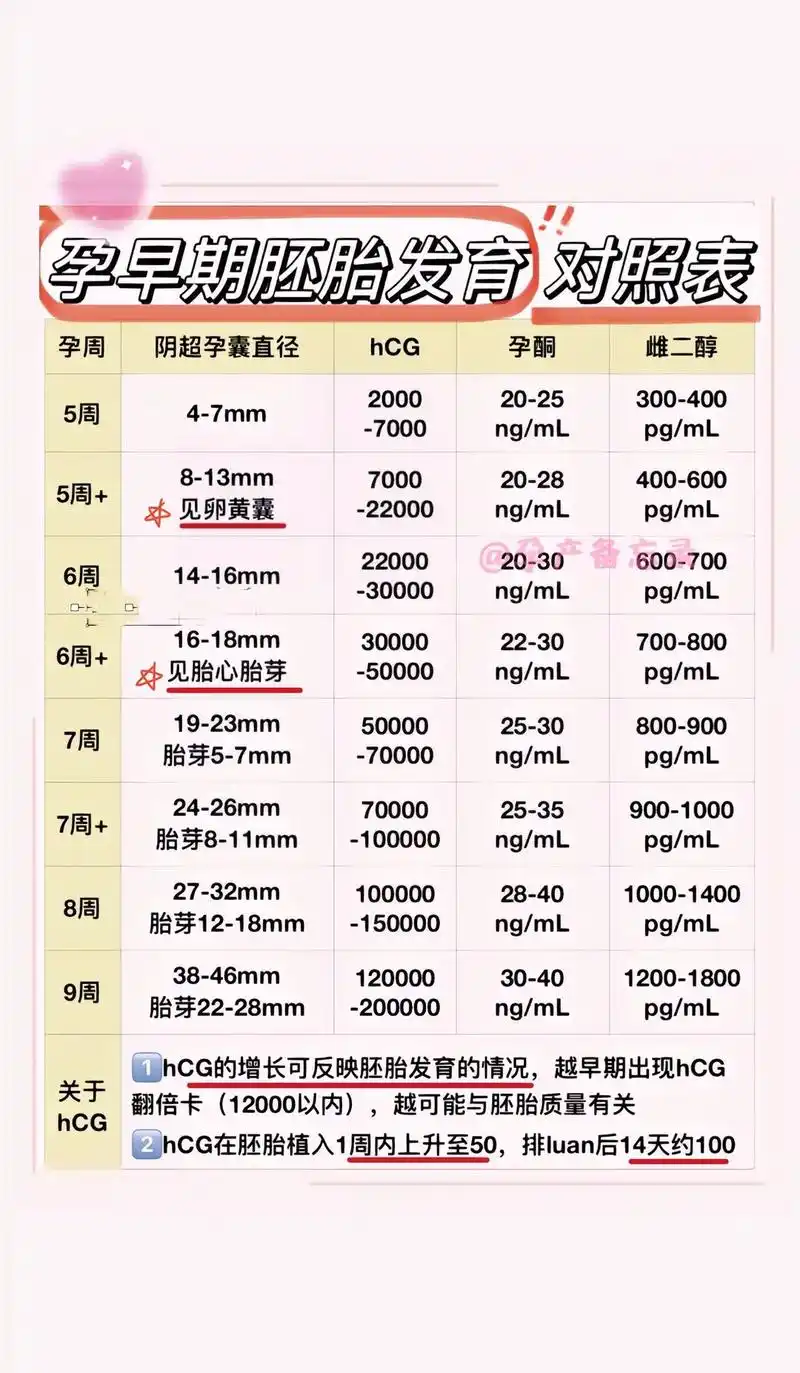 孕早期胚胎发育对照表75hcg胎心胎芽孕囊#孕期知识每天不断更 - 抖