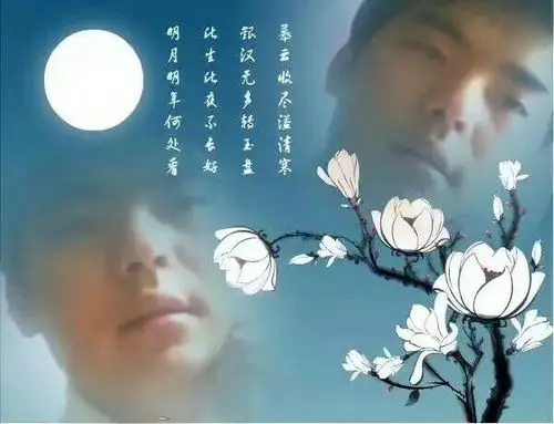 思念在梦里(致最难忘的你)作者/余海涛