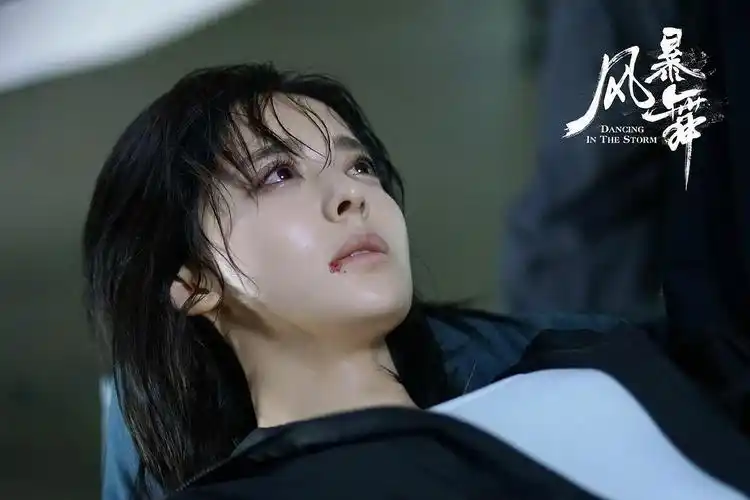 风暴舞 the storm_电视剧介绍_评价_剧照_演员表_剧评