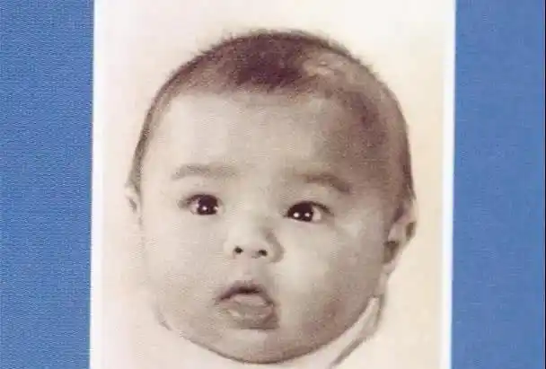 两度小产一心求子张卫健张茜夫妇不顾高龄强行怀孕