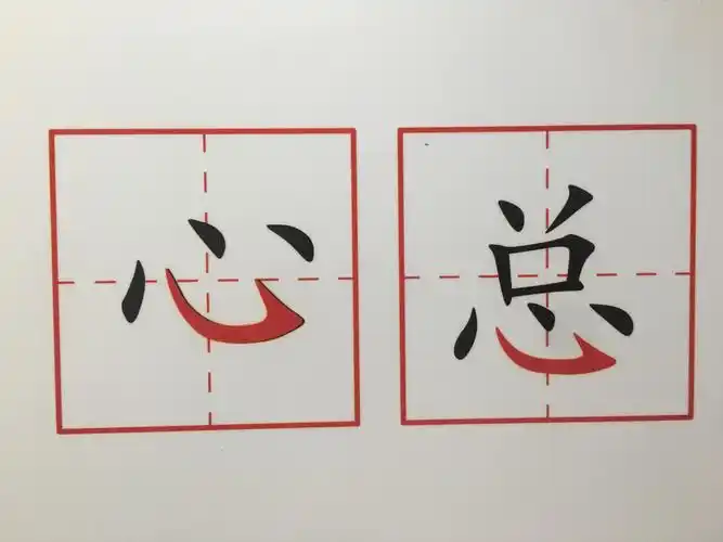 认识汉字《心,总》