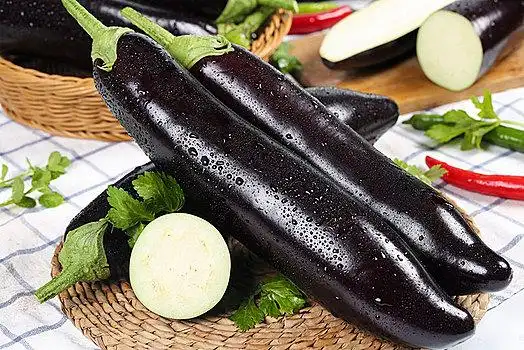 云南长茄子图片_云南长茄子图片大全_云南长茄子图片素材