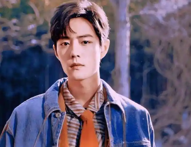 肖战《光点》在韩国上线,曾获全球排名销量第七,他值得大家追捧_单曲