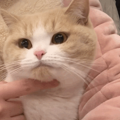 555_555gif 动态图 动图