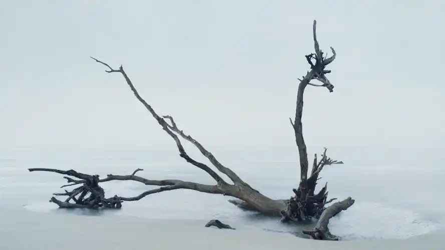 纯白色系列清新创意高清桌面壁纸 - 纯白电脑桌面 - 实验室设备网