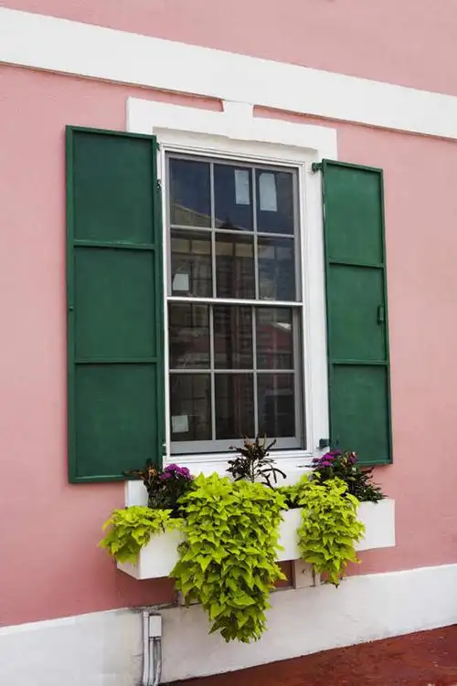 无人,家,竖图,室外,特写,白天,正面,度假,美景,植物,窗户,城市风光