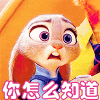 你怎么知道gif爱宠大机密gif