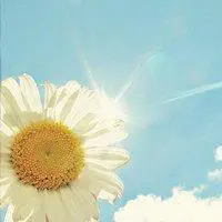 微信头像阳光稳重积极向上的【点击鼠标右键下载】