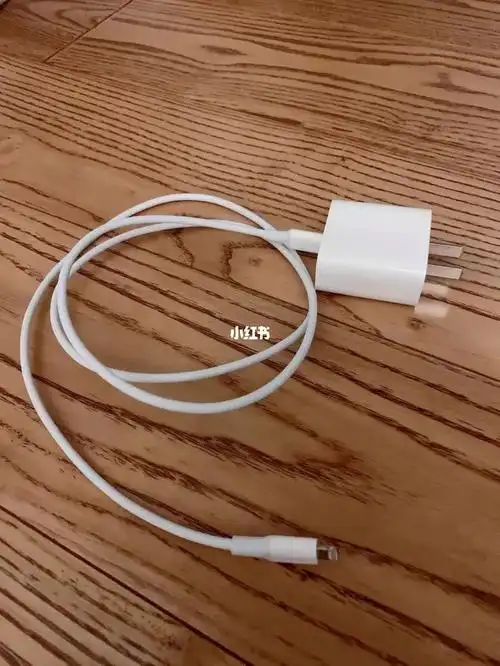 苹果充电器