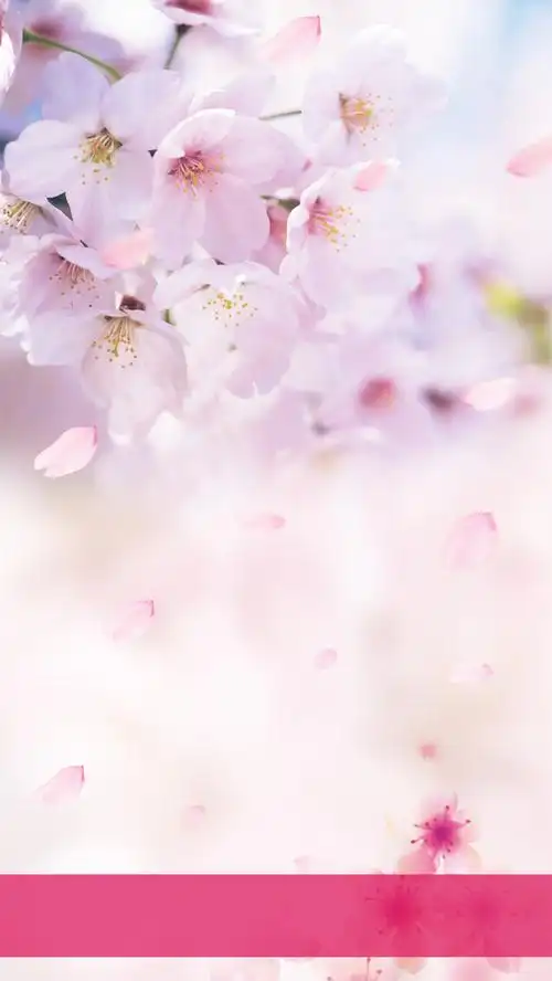 春天桃花h5背景免抠素材免费下载_觅元素51yuansu.com