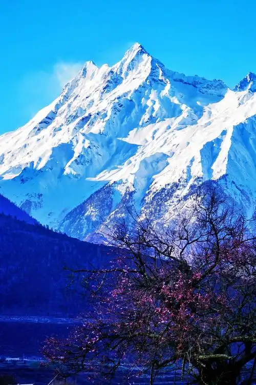 尖利挺拔的多雄拉的主峰,虽没南迦巴瓦的名气,也难掩饰她的美丽.