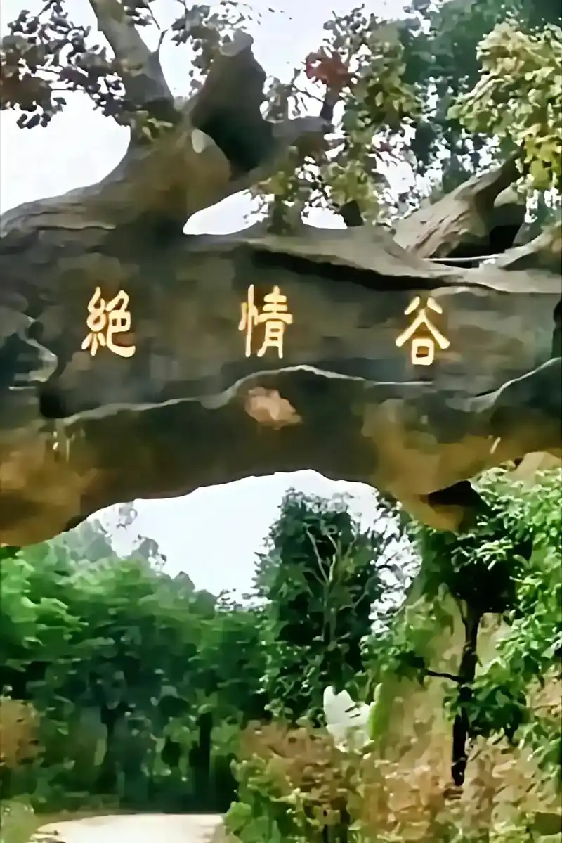 绝情谷断肠崖在那里啊?这画面太美了.问世间情为何物,珍惜对你 - 抖音