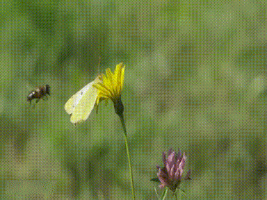 蓝翔毕业就是牛 动态囧图赏(45)