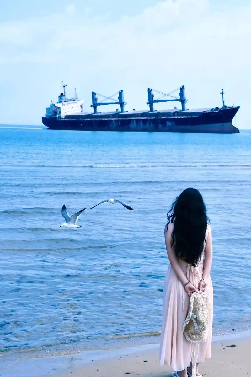 故事的最后 还是我一个人去看了海#布鲁威斯号#一个人看海#威 - 抖音