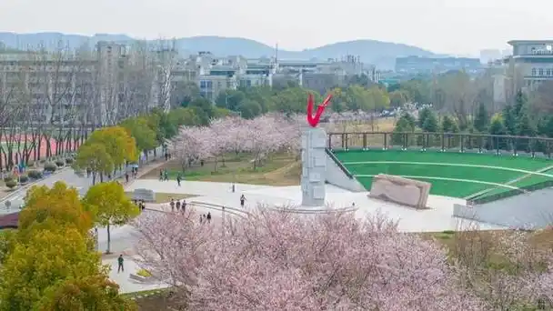 南京邮电大学2024年普通本科招生章程