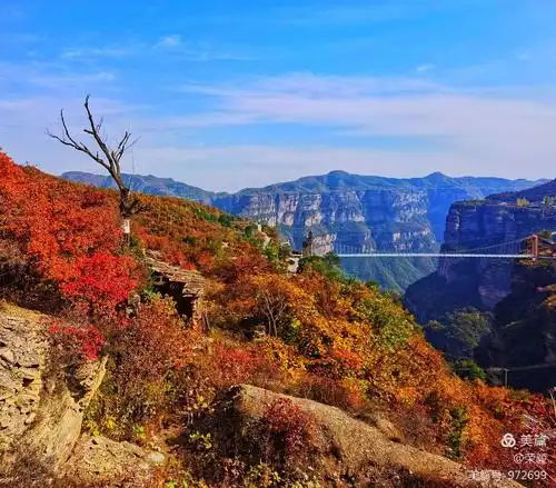 太行之行一一太行大峡谷桃花谷