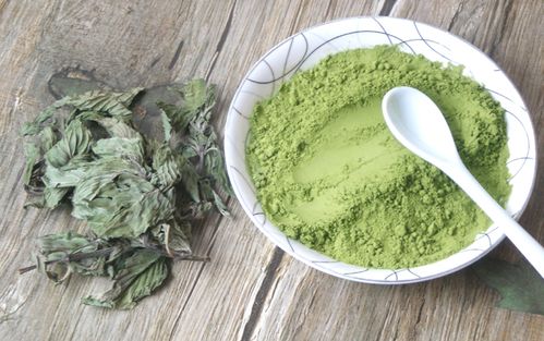 天然薄荷粉500克 食用 现磨 兑蜂蜜 薄荷叶粉 薄荷叶粉 包邮