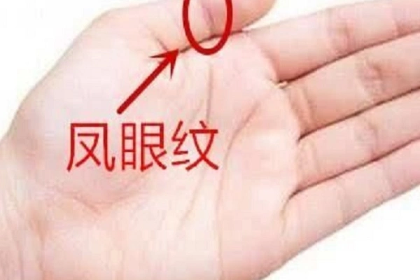 凤眼纹和佛眼纹的区别