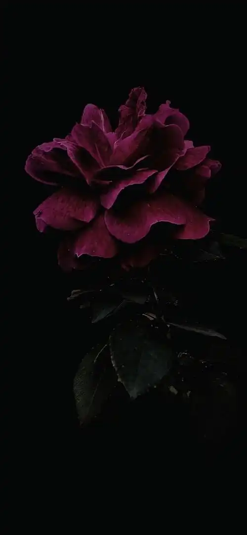 本文关键词:唯美意境壁纸 竖屏,唯美意境壁纸 风景,唯美意境壁纸横屏