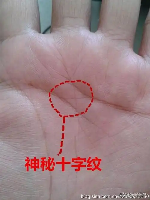 闻道国学手相看人生三大纹路十字纹星纹岛纹