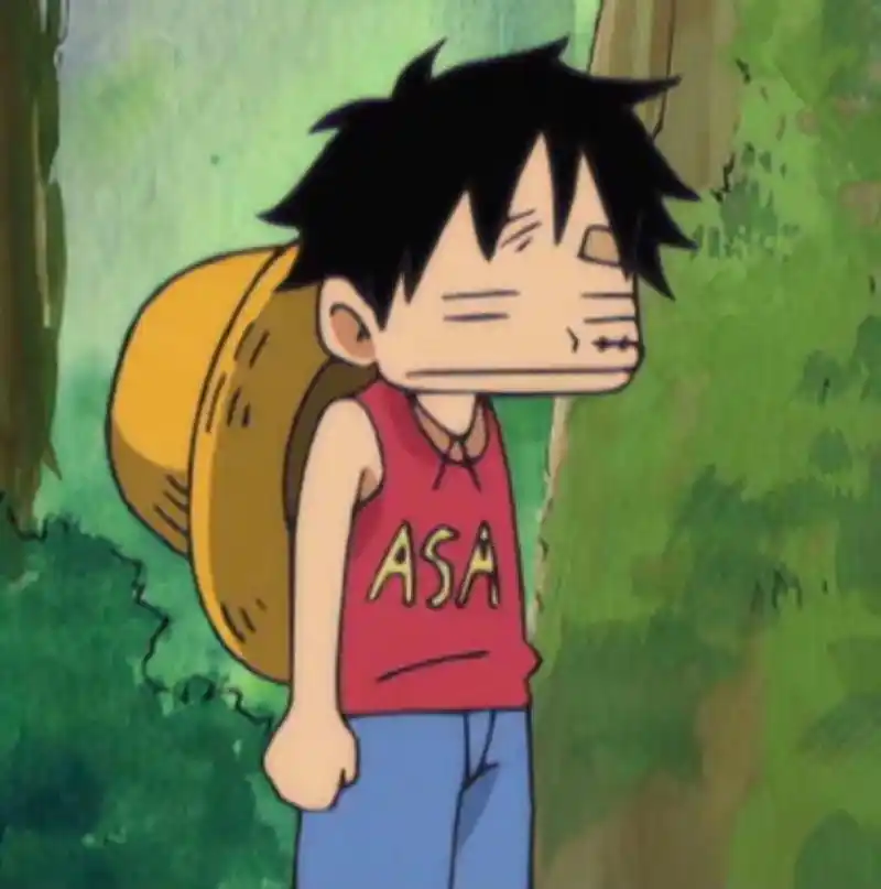 受伤的小路飞,感觉好可爱