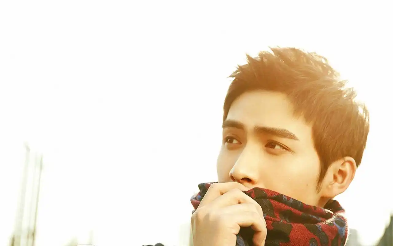 张彬彬帅气写真桌面壁纸