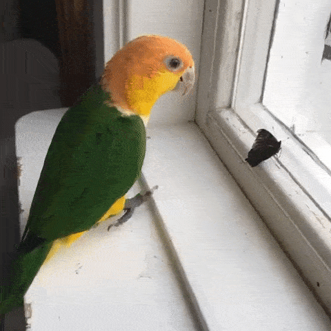 日刊黄晓明和angelababy分开已成事实为何黄晓明baby总传出离婚消息