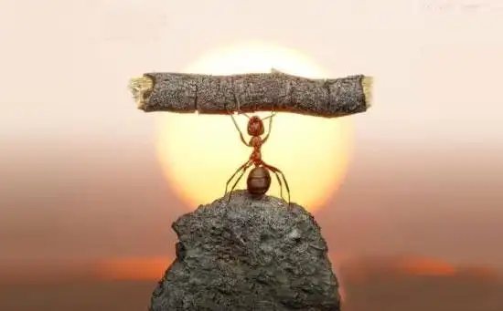 不懂什么叫坚强,却一直在死撑