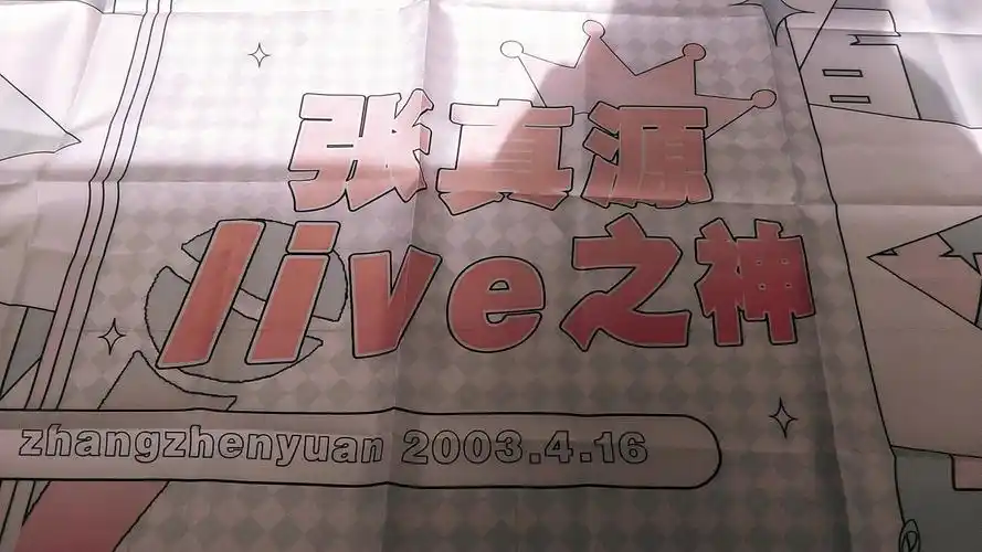 张真源的应援大旗真的好大但是我的杆子还没到到了拍视频