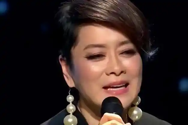 毛阿敏:39岁才结婚,丈夫离世留下260亿遗产,她怎么办|那英|田震|孙楠